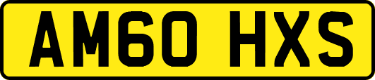 AM60HXS