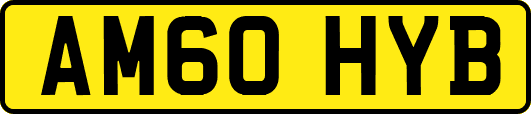 AM60HYB
