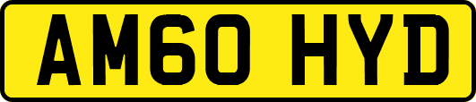AM60HYD