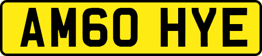 AM60HYE