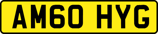 AM60HYG