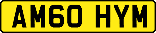 AM60HYM