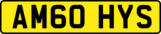 AM60HYS