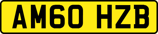 AM60HZB