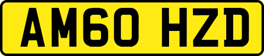 AM60HZD