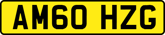 AM60HZG