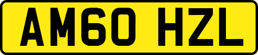 AM60HZL