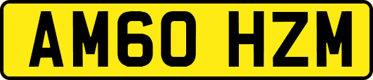 AM60HZM