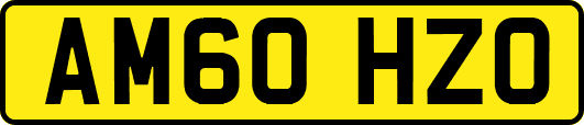 AM60HZO
