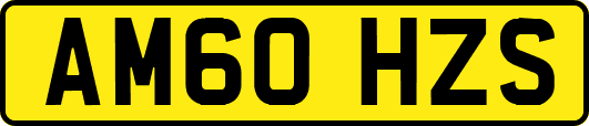 AM60HZS