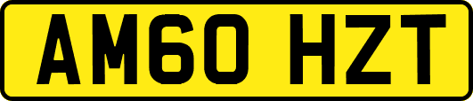 AM60HZT