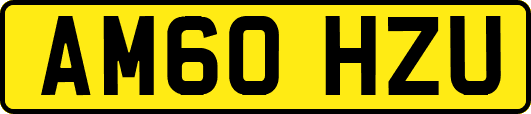 AM60HZU