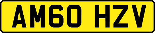 AM60HZV