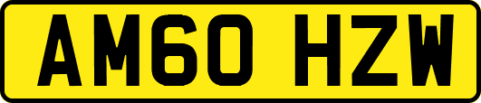 AM60HZW