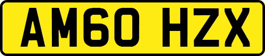 AM60HZX