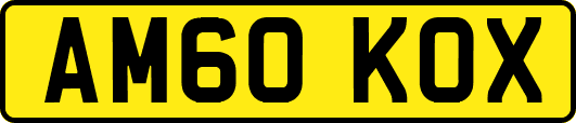 AM60KOX