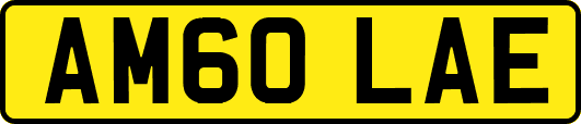 AM60LAE