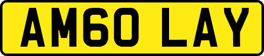 AM60LAY