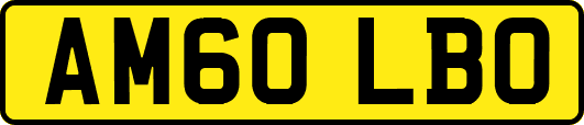 AM60LBO