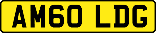 AM60LDG