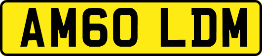 AM60LDM