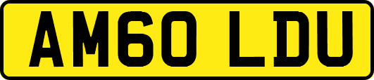 AM60LDU
