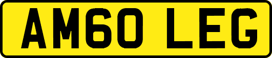 AM60LEG