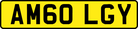 AM60LGY