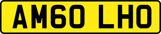 AM60LHO
