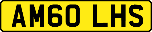 AM60LHS