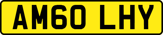 AM60LHY