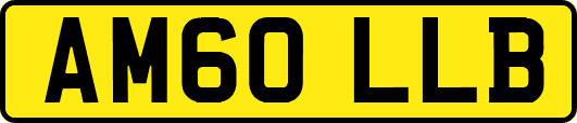 AM60LLB