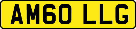 AM60LLG