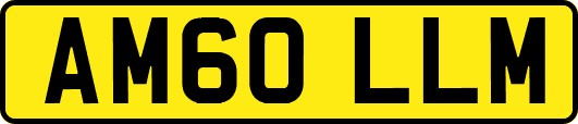 AM60LLM