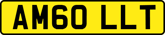 AM60LLT