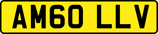 AM60LLV