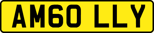 AM60LLY