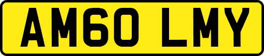 AM60LMY