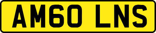 AM60LNS