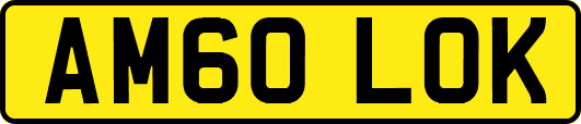 AM60LOK