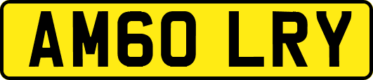AM60LRY