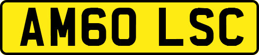 AM60LSC