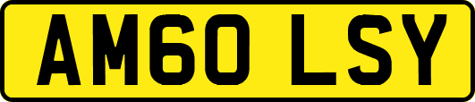 AM60LSY