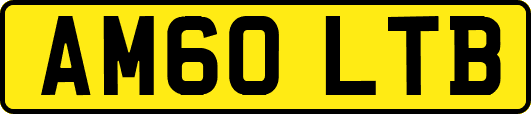 AM60LTB