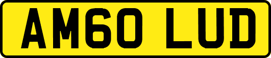 AM60LUD