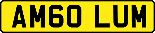 AM60LUM