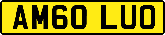 AM60LUO