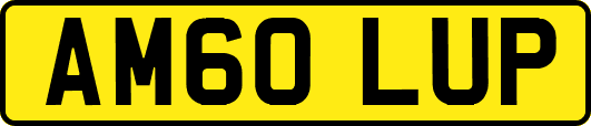 AM60LUP
