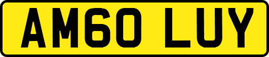 AM60LUY