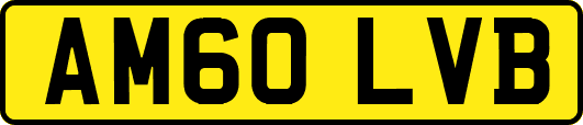 AM60LVB